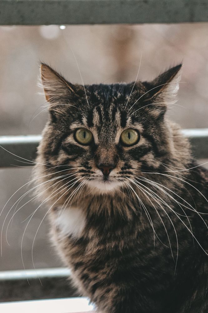 Photograph by Екатерина Нальгиева