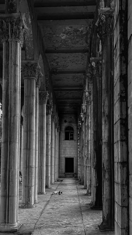 Photograph by Екатерина Нальгиева