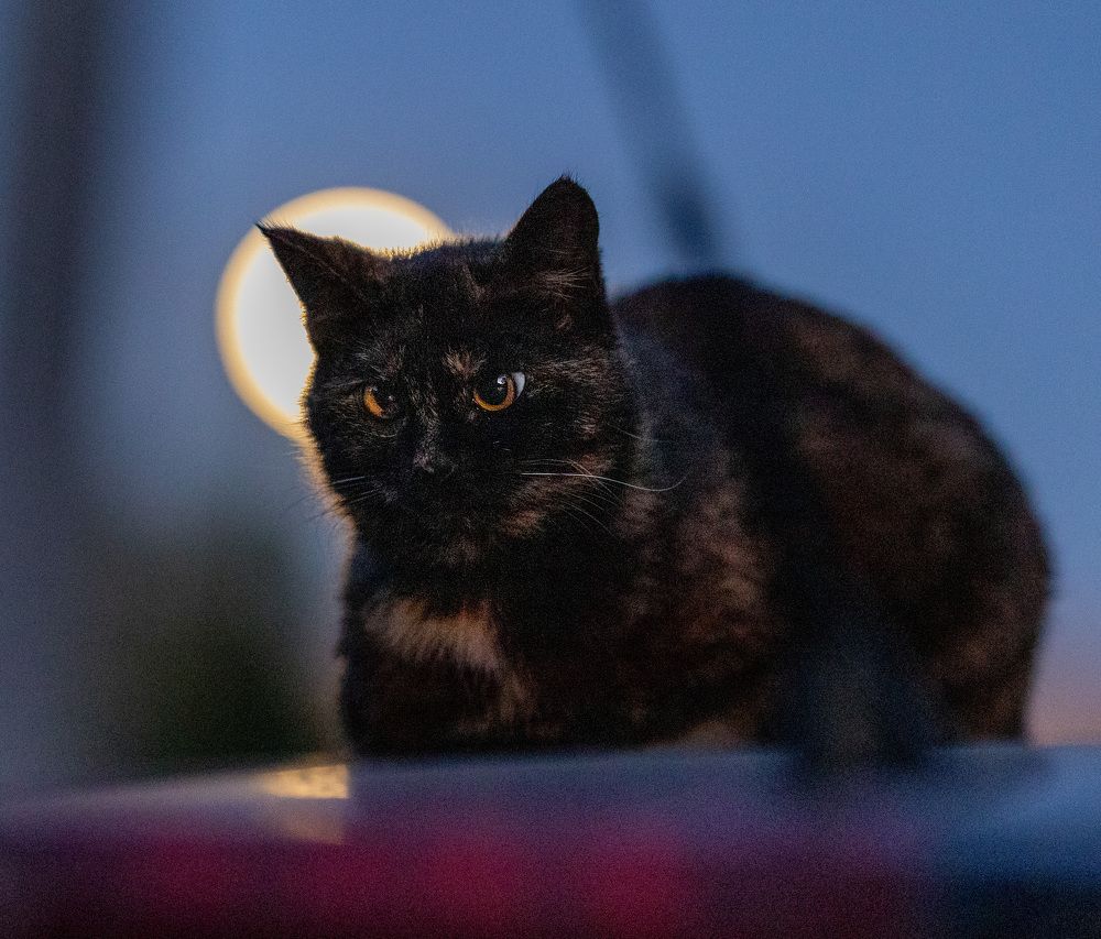 Photograph by Наталья Кирина