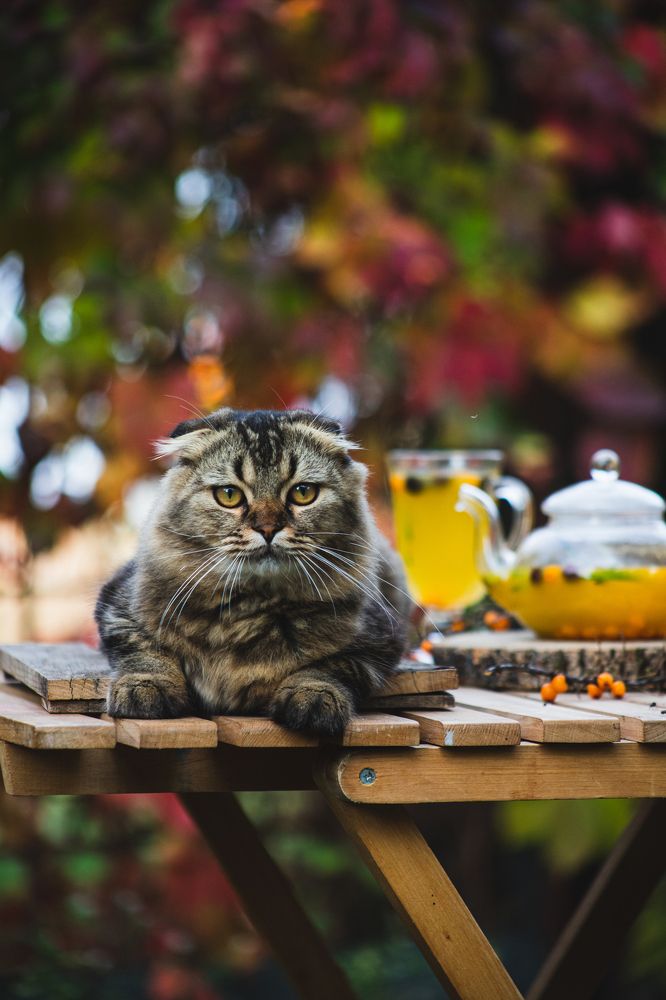 Photograph by Bogdan Tarasov