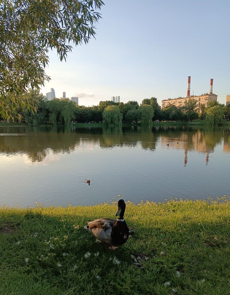 Фотография автора Роман Зотов