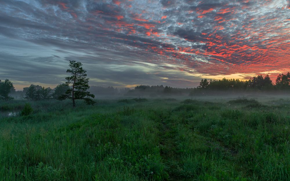 Photograph by Евгений Патрешов