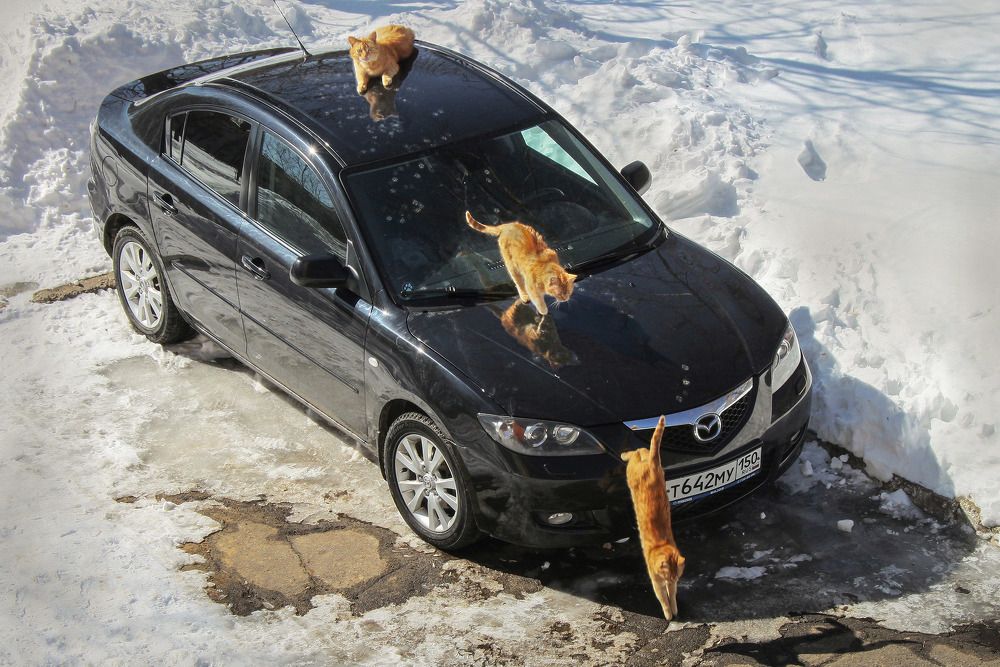 Photograph by Вячеслав Лычков