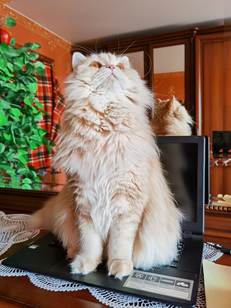 Photograph by Tanzilya Gabidullina