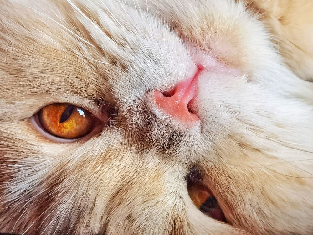 Photograph by Tanzilya Gabidullina