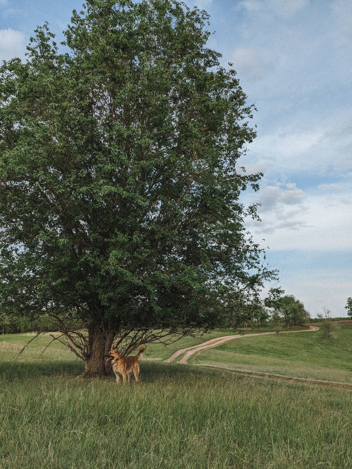 Photo #10723135