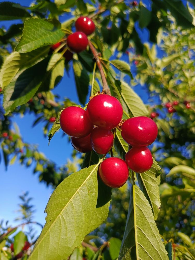 Photograph by Татьяна Пальчикова