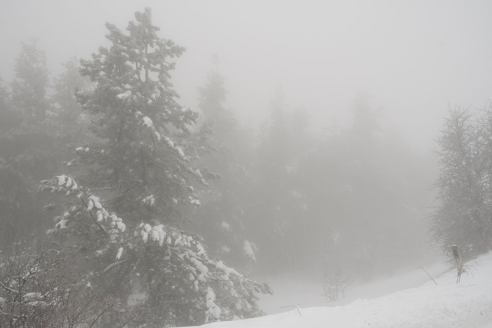 Photograph by Екатерина Игоревна