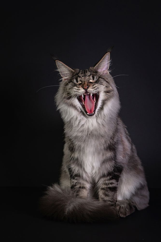 Photograph by Анастасия Камалова