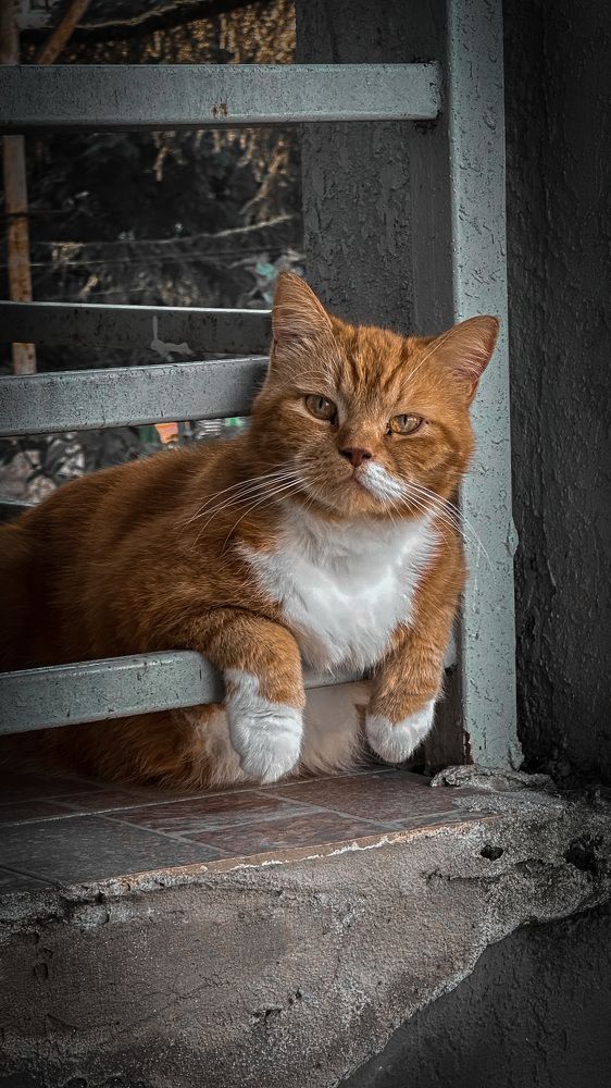 Photograph by Екатерина Нальгиева