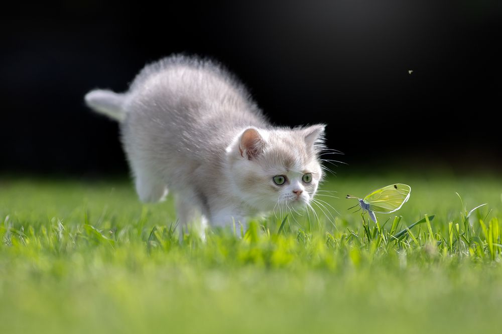 Photograph by Светлана Писарева