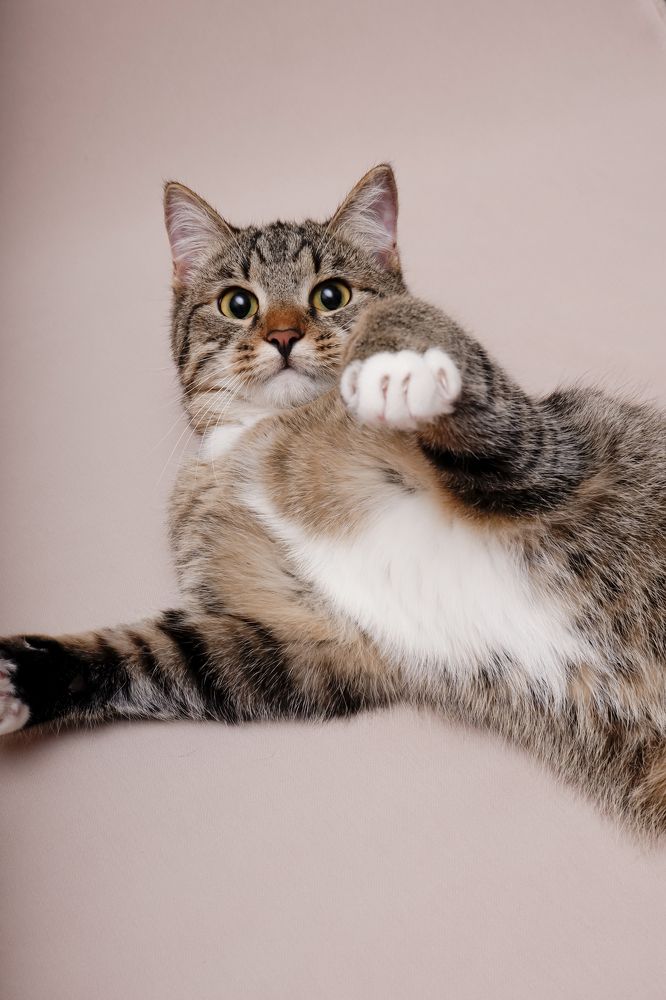 Photograph by Евгения Титова