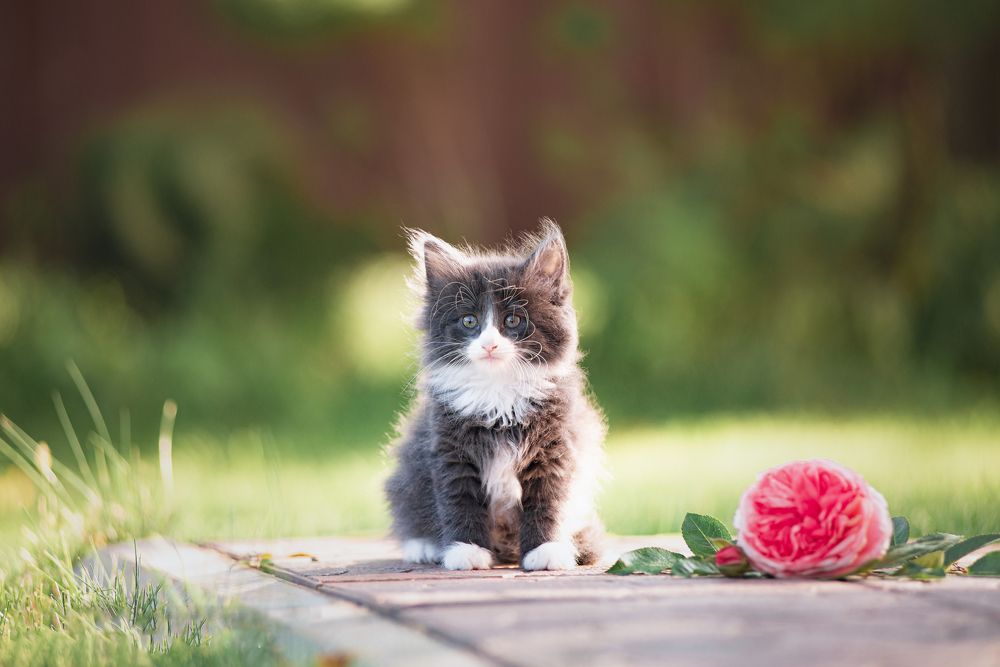 Photograph by Анастасия Камалова