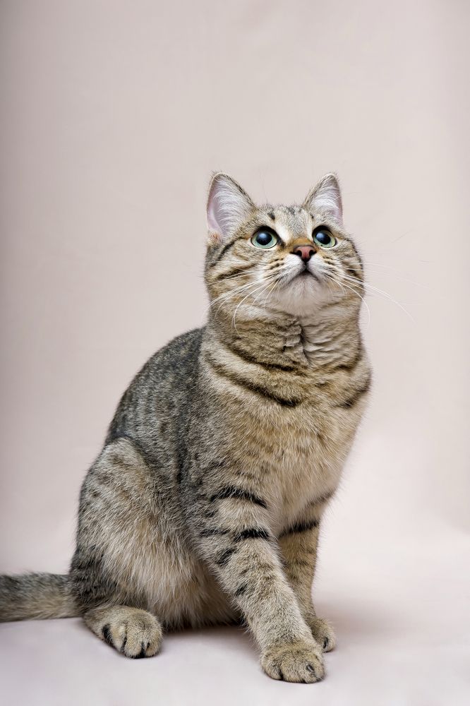 Photograph by Евгения Титова