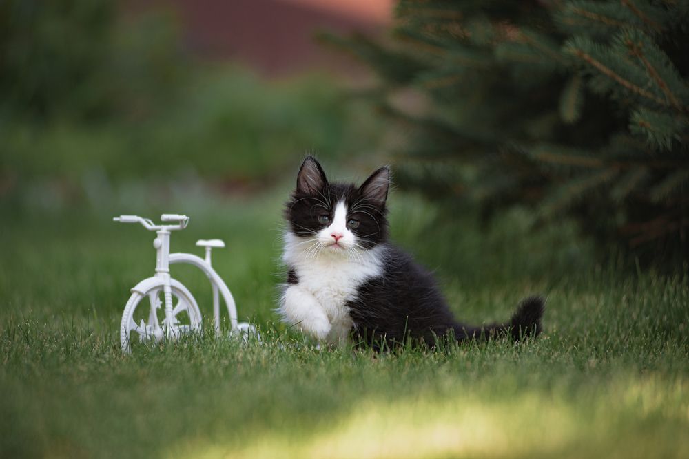 Photograph by Анастасия Камалова