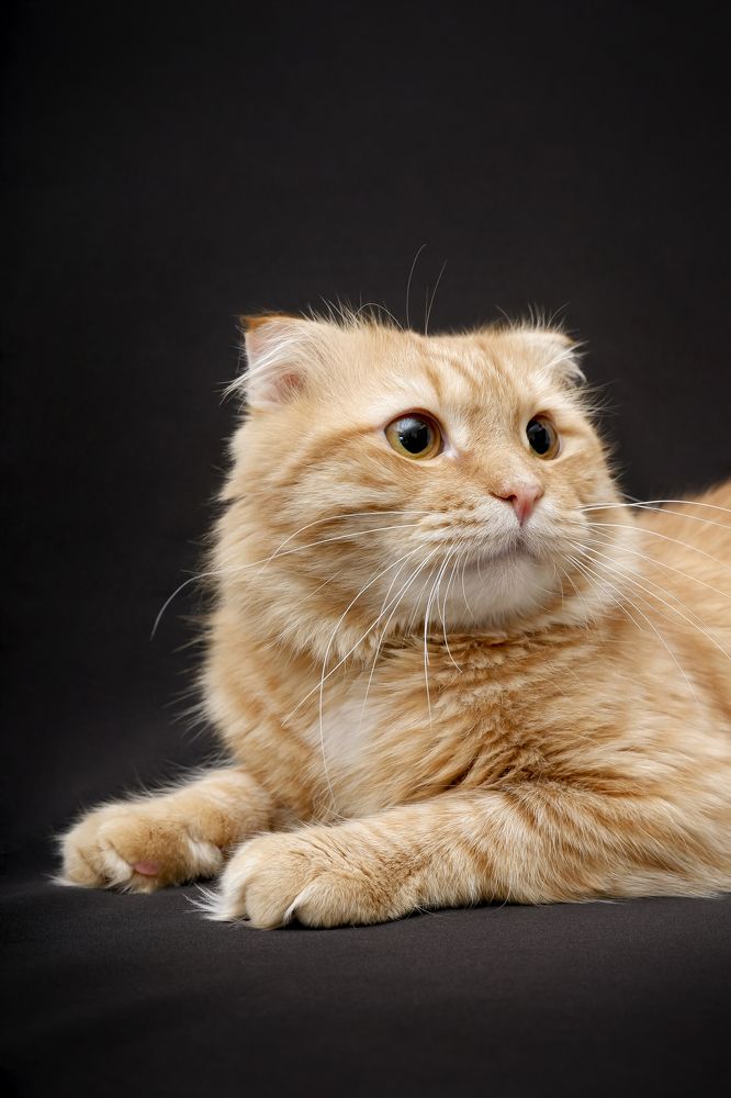 Photograph by Евгения Титова