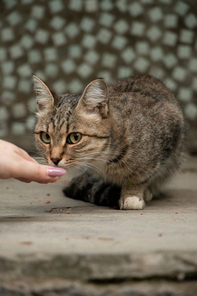 Photograph by Константин Семенюк