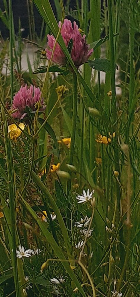 Photograph by Евгения Ульянова