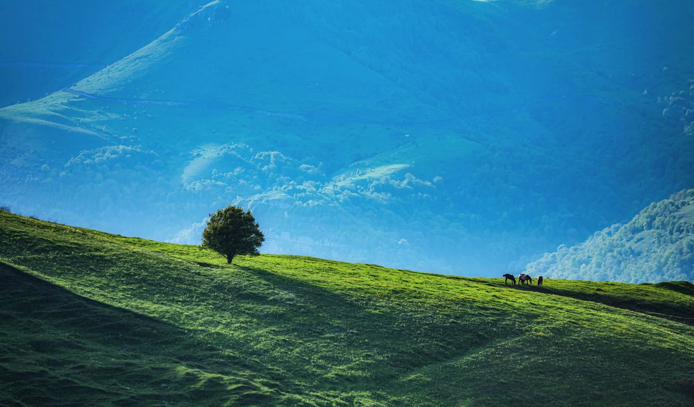 Фотография автора Асрян Севак