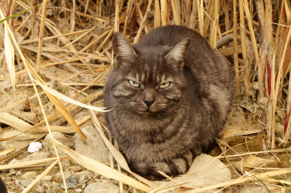 Фотография автора Сергей Кульков