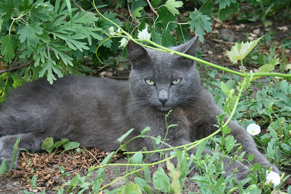 Photograph by Виктория