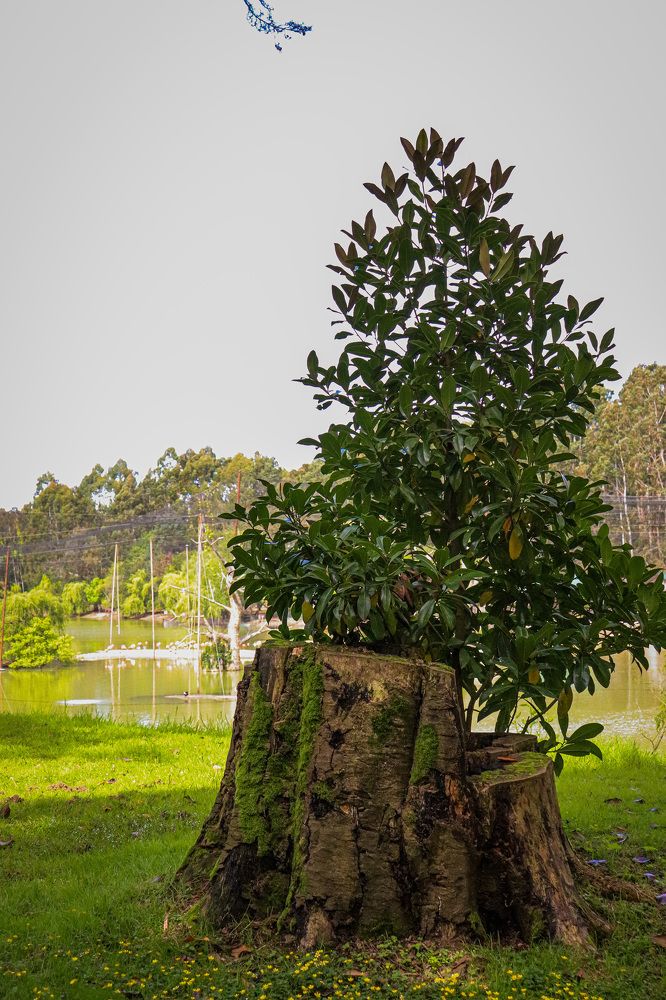Photograph by Екатерина Нальгиева