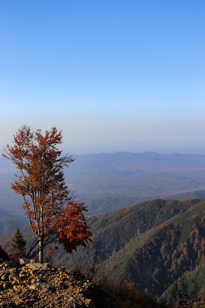 Photograph by Екатерина Нальгиева