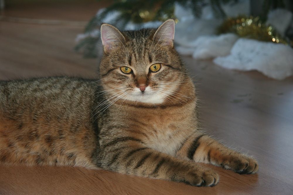 Photograph by Евгений Чистяков