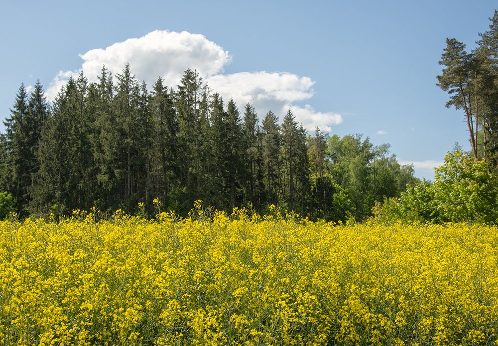 Photograph by Александр Степовой