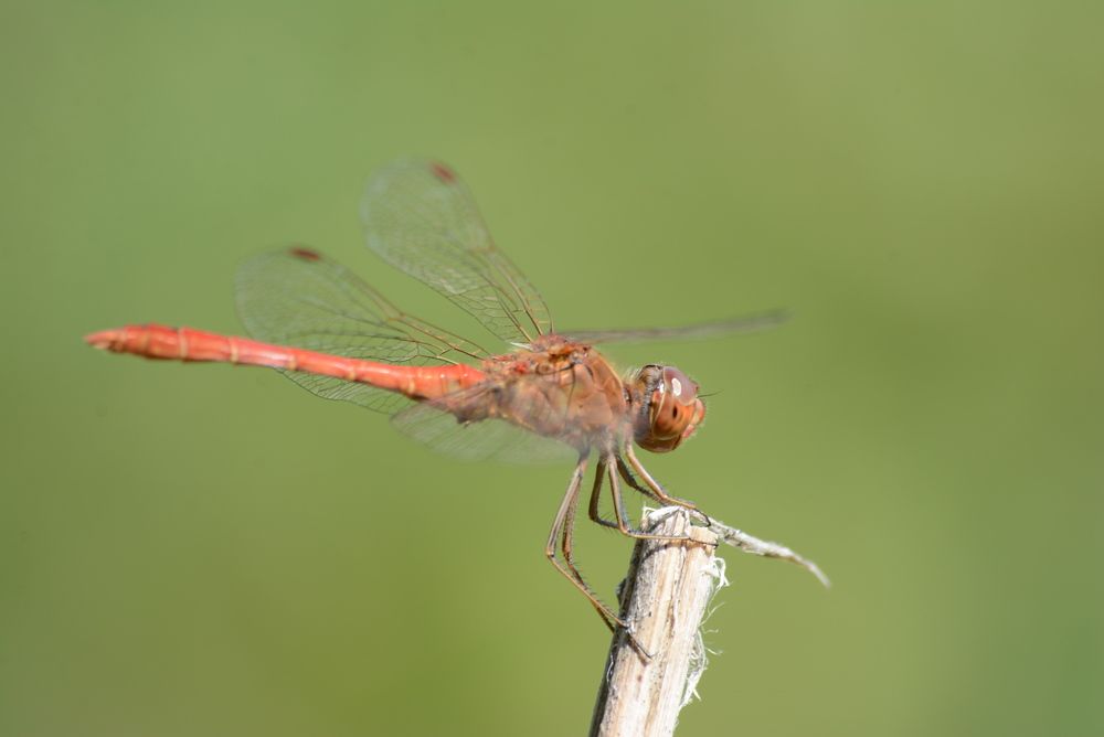 Photograph by Gülşen  Mutlu