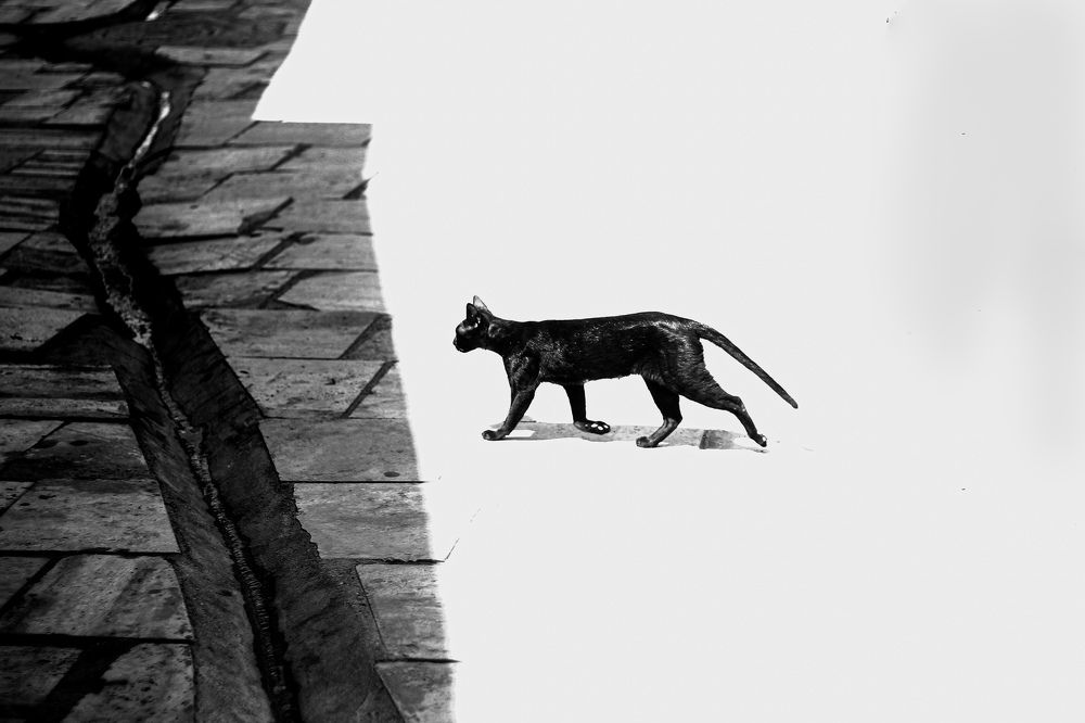 Photograph by Mobin Khorram