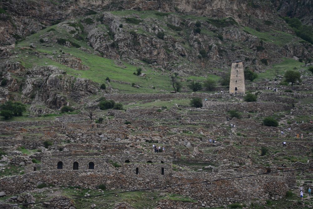 Photograph by Ольга Истомина