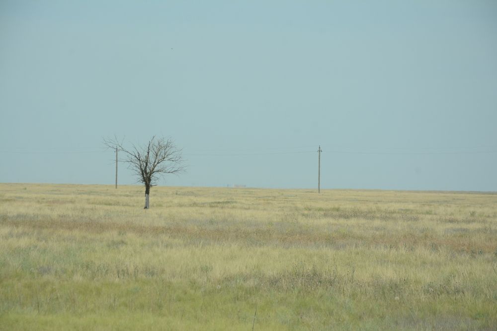 Photograph by Ольга Истомина