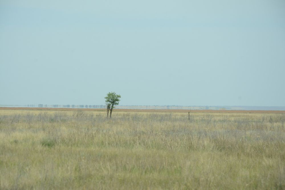 Photograph by Ольга Истомина