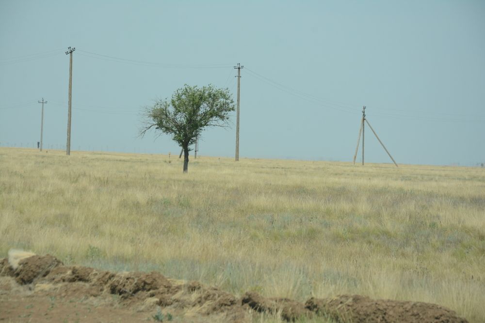 Photograph by Ольга Истомина