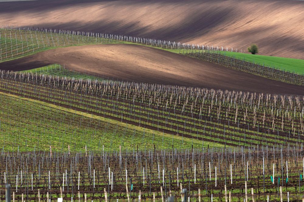 Photograph by Евгения Чех