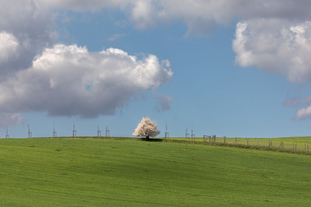 Photograph by Евгения Чех