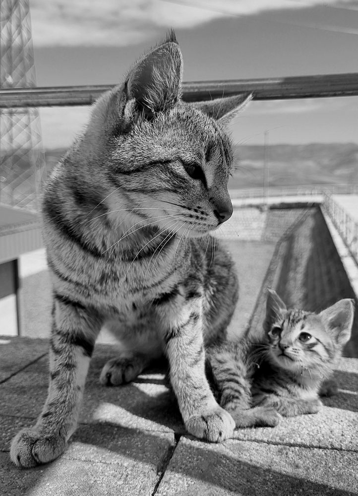 Photograph by Ismail