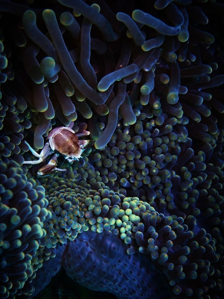 Photograph by Кирилл Леднев