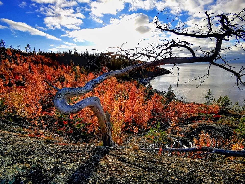 Photograph by Елена Артёменко