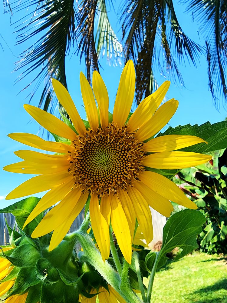 Фотография автора Jeff Cooley