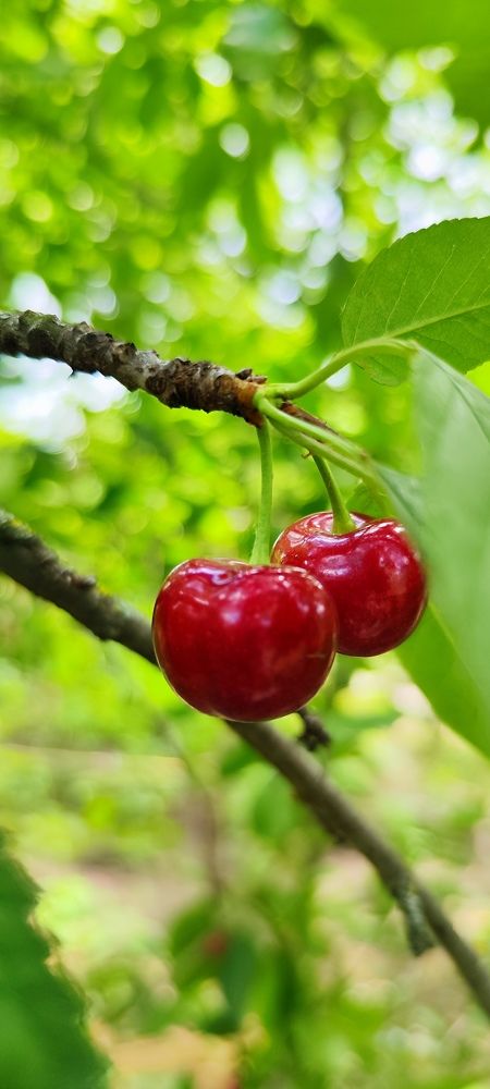 Photograph by Евгения Чернова