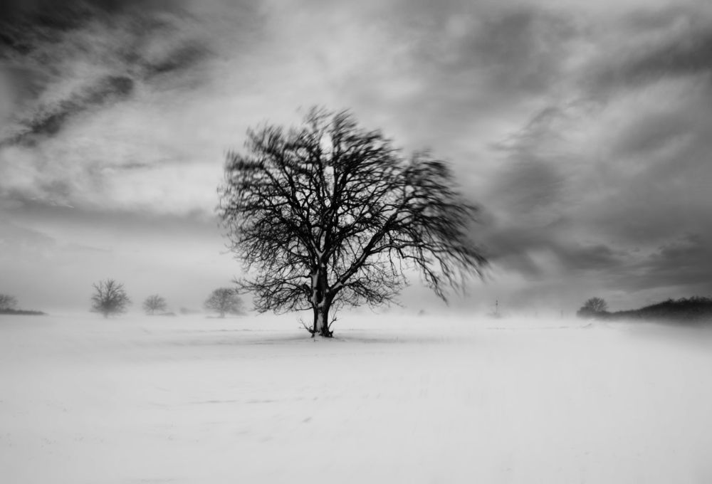 Фотография автора Gilcan Mete Delibay