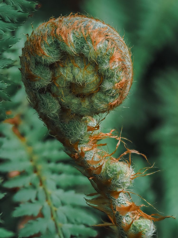 Photograph by Ирина Протченко