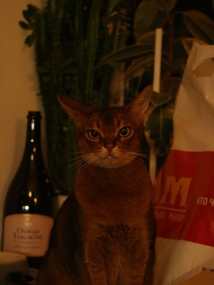 Фотография автора Боков Дмитрий