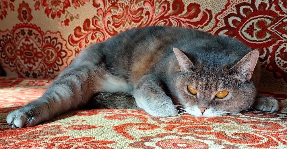 Photograph by Олег