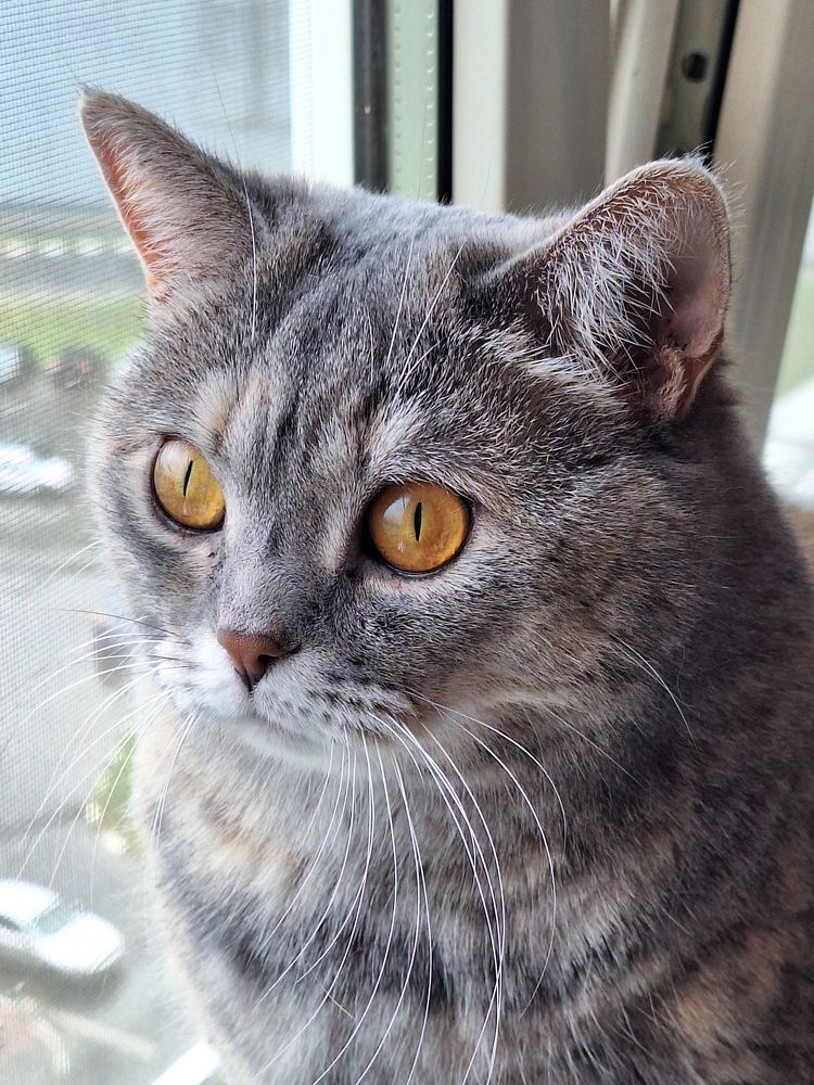 Photograph by Олег