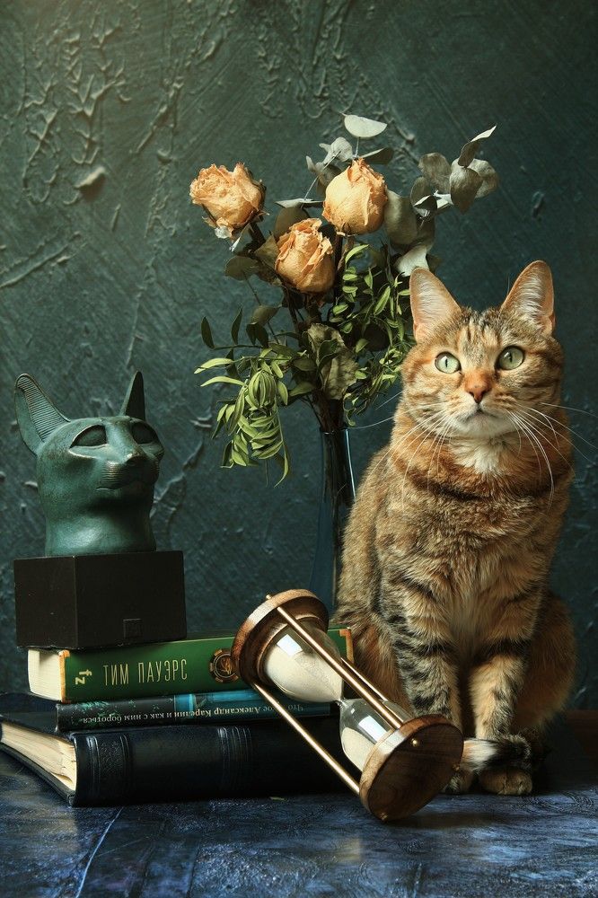 Photograph by Кира Иванова