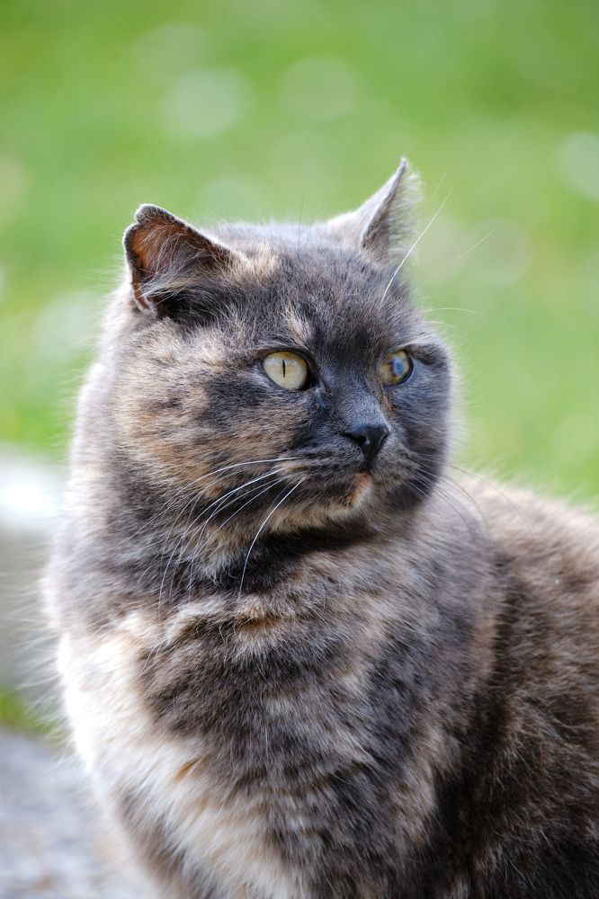 Photograph by Владислав Титов