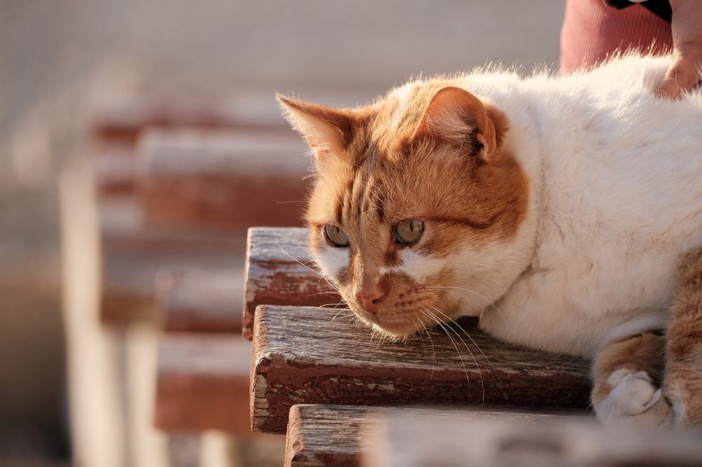 Photograph by Владислав Титов